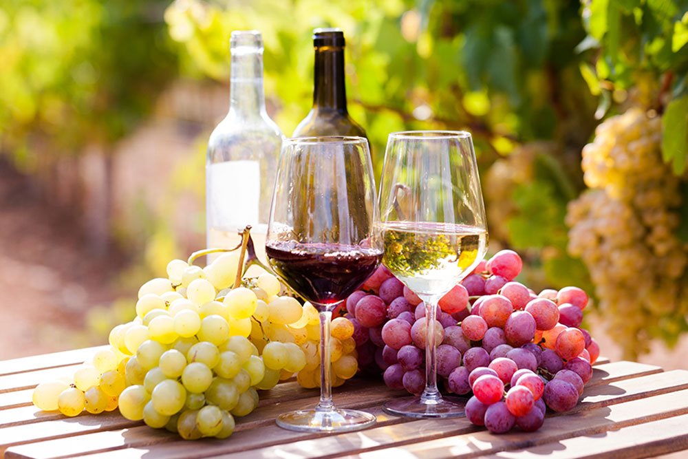 glasses of red and white wine privacy policy