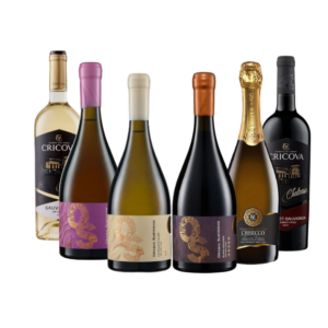 Cricova Mixed Wine Case